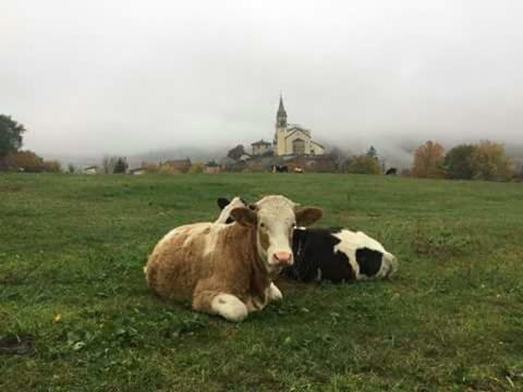 Le Teggie Leilighet Sestola Eksteriør bilde